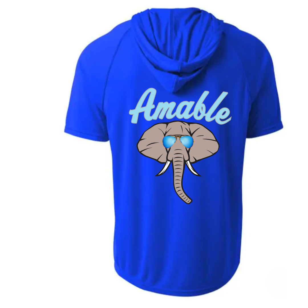 Amable Dri Fit Hooded Tee